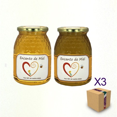 Pack Miel Artesana ENCANTO DE MIEL Albaida Roble Almería 100% natural