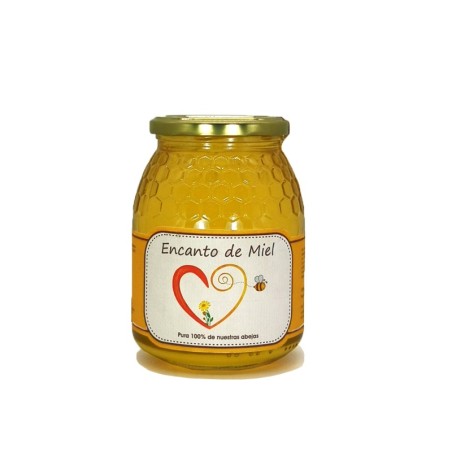 Miel Artesana Albaida ENCANTO DE MIEL autóctona Almería anticatarral, antiasmática