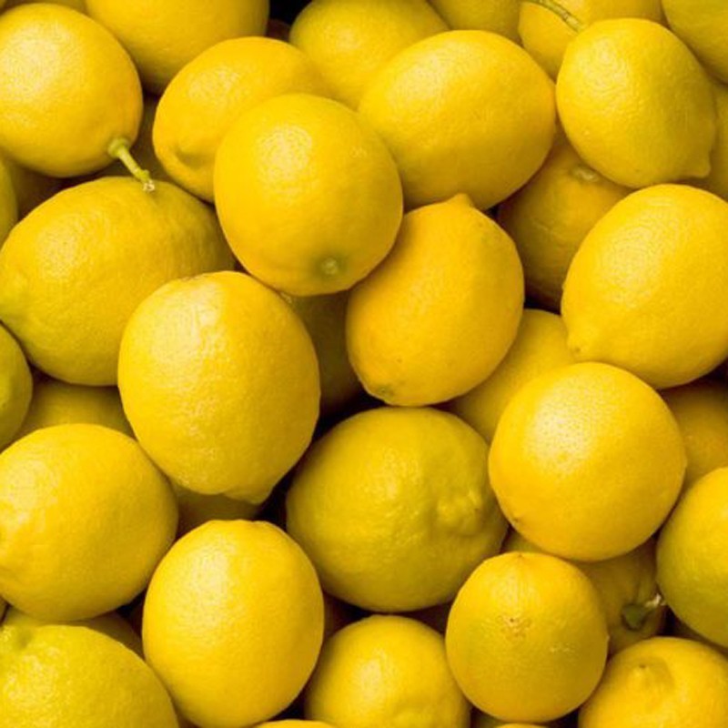 Limones de huerta Levante de Almería maduración en el árbol abono orgánico