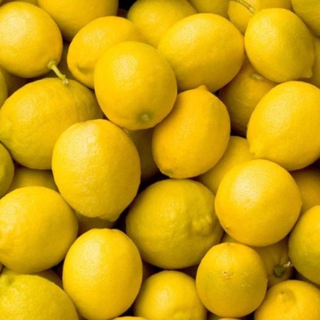 Limones de huerta Levante de Almería maduración en el árbol abono orgánico