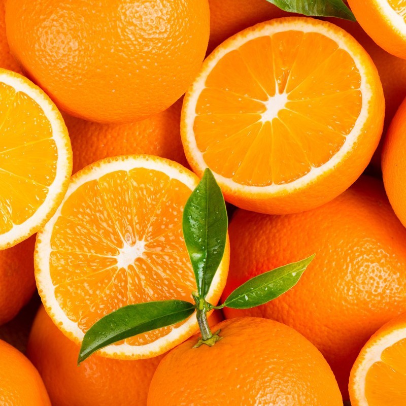 Naranjas de mesa de huerta Levante de Almería maduración en el árbol abono orgánico