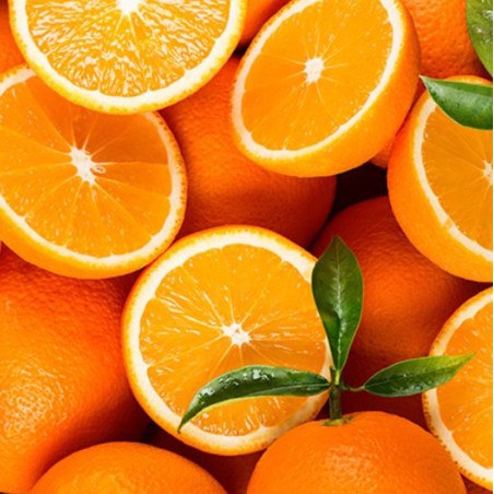 Naranjas de zumo huerta Almería maduración en el árbol abono orgánico