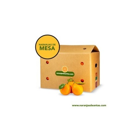 NARANJAS DE MESA de Antas variedad LANE LATE naturales directa del árbol