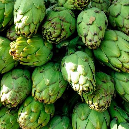 Alcachofas Tudela de Huerta naturales abono orgánico Almería de proximidad