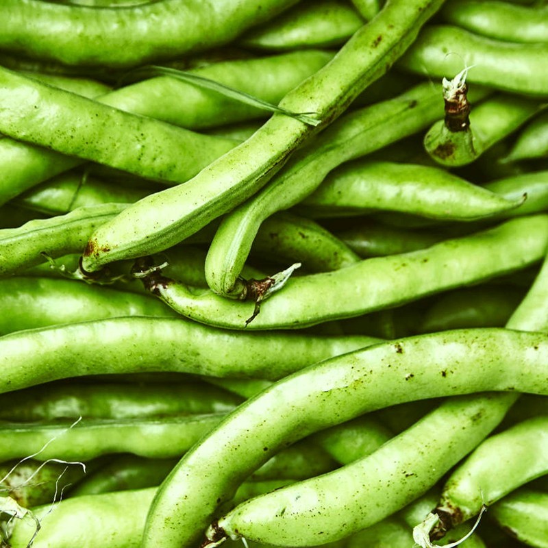 habas natural de Huerta abono orgánico Almería de proximidad ecológico