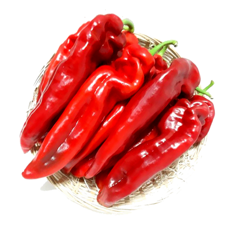 pimiento rojo italiano natural de Huerta abono orgánico Almería de proximidad ecológico