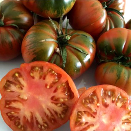 tomate raf natural de Huerta abono orgánico Almería Nijar de proximidad