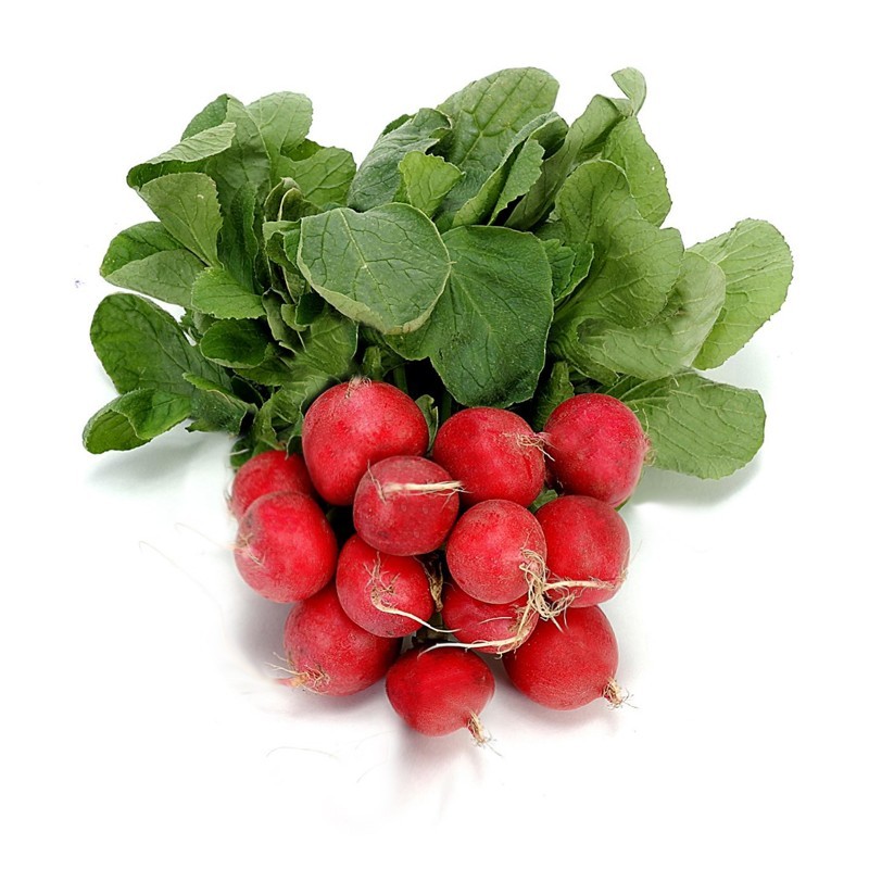 Rábanos de Antas huerta de proximidad Almería manojo naturales  abonados con orgánico