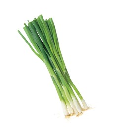 Ajos Tiernos de Antas abono orgánico Almería huerta natural de proximidad kilómetro 0