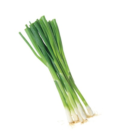 Ajos Tiernos de Antas abono orgánico Almería huerta natural de proximidad kilómetro 0