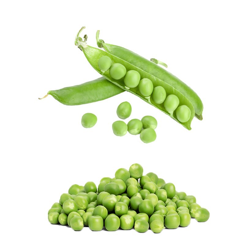 Guisantes de Antas Almería huerta natural de proximidad abono orgánico kilómetro 0