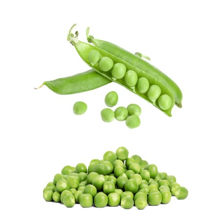 Guisantes de Antas Almería huerta natural de proximidad abono orgánico kilómetro 0