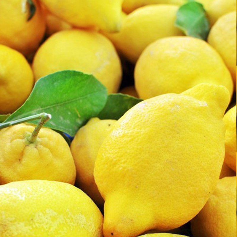 Limones de Antas Almería natural de huerta abono orgánico de proximidad