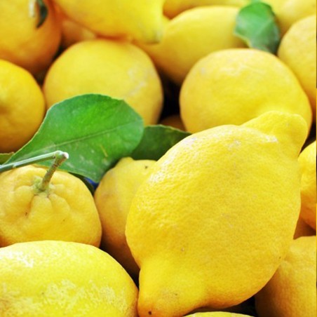 Limones de Antas Almería natural de huerta abono orgánico de proximidad