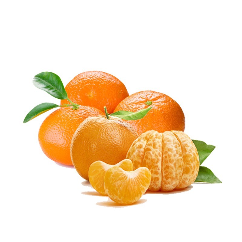 Mandarina de Antas Almería natural de huerta abono orgánico de proximidad