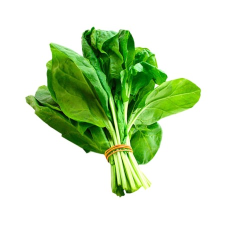 Espinacas de Antas abono orgánico Almería huerta natural de proximidad km 0