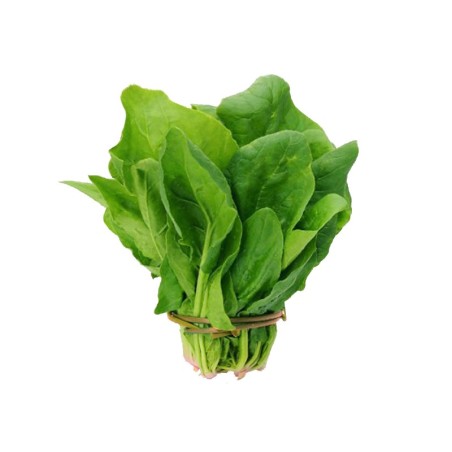 Espinacas de Antas Huerta EL GURULLO Almería naturales abono orgánico manojo