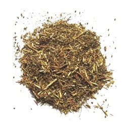 Infusión Artemisa, alivio vías respiratorias, ansiedad, fatiga, eliminación toxinas