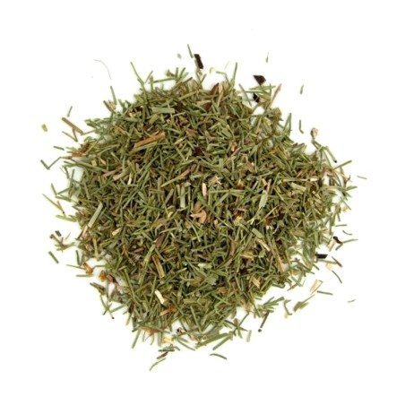 infusión cola de caballo diurético cicatrizante astringente depurativa remineralizante