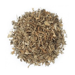 Infusión Diente de León propiedades antiinflamatorias, antioxidantes, antibióticas y anticancerígenas