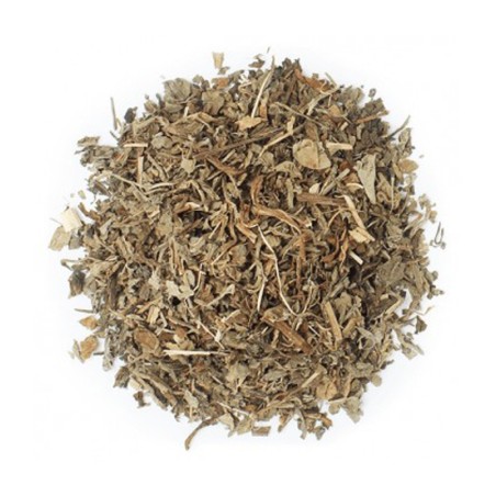 Infusión Diente de León propiedades antiinflamatorias, antioxidantes, antibióticas y anticancerígenas