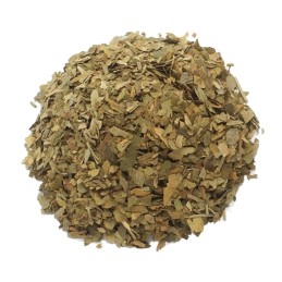 Infusión Ginko Biloba trastornos circulatorios disminuye mucosidad, reduce vértigos y mareos, mejora la concentración la memoria