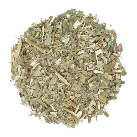 Infusión Vara de Oro diurético, ayuda hipertensión, varices, hemorroides fragilidad capilar