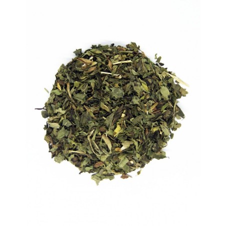 Menta Cortada condimento platos marinados en infusión ayuda hígado digestión diabetes.