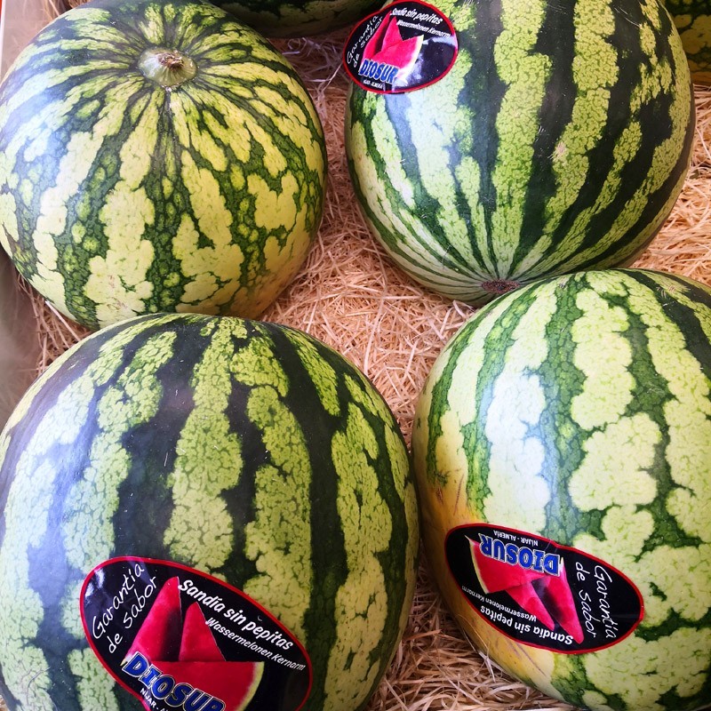 Sandía sin pepitas, de Níjar, Almería.  Recién recolectadas del campo