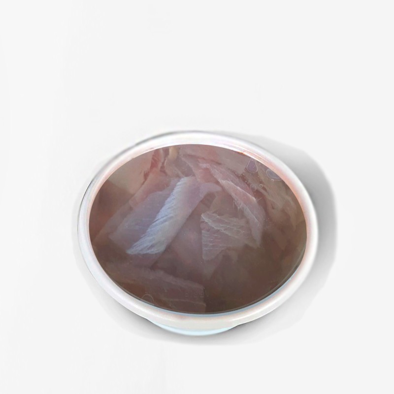 palometa extra ahumada blanca en aceite salazones asensio sabores Almería