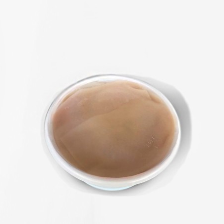 Ventresca de Pez Espada en tarrina salazones asensio sabores Almería