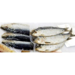 Sardinas saladas y al Vacío SALAZONES VALERA tradicional artesanal