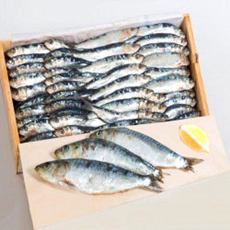 Sardinas saladas y al Vacío SALAZONES VALERA tradicional artesanal