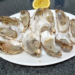 Lote Navidad Gourmet Almería regalo descuento brut ostras francesas