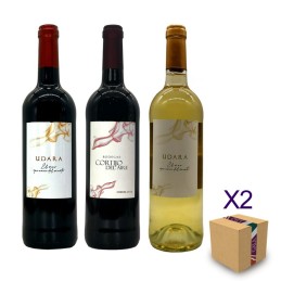 Pack Surtido de vinos macabeo  tempranillo bodega Cortijo del Aire