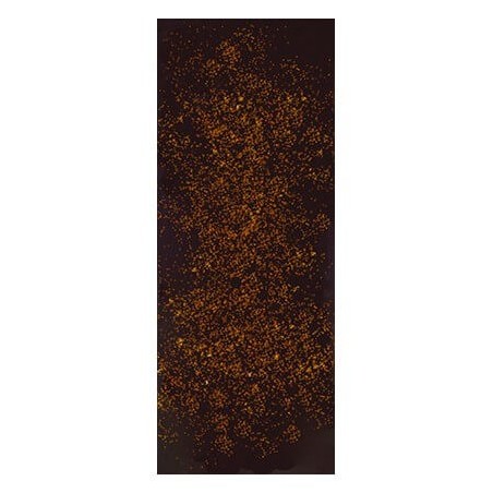 Chocolate Artesano Ecológico Negro 74% Cacao con Canela Almería