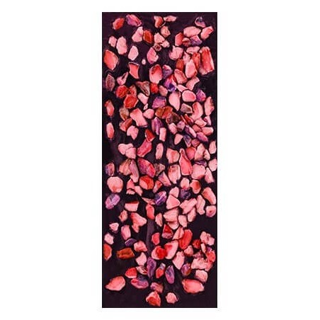 Chocolate Artesano Ecológico Negro Cacao Frutos Rojos Almería natural