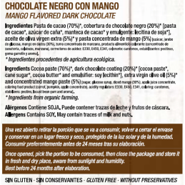 Chocolate Artesano Ecológico Negro 74% Cacao con Mango Almería natural