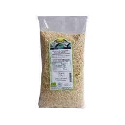 Arroz Integral Ecológico Almería Agricultura Sostenible SABOR ANDALUZ