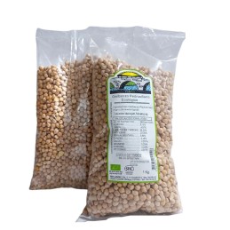 Garbanzo Pedrosillano Ecológico Almería Agricultura Sostenible 