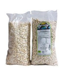 Alubia Blanca Ecológica Almería Agricultura Sostenible SABOR ANDALUZ