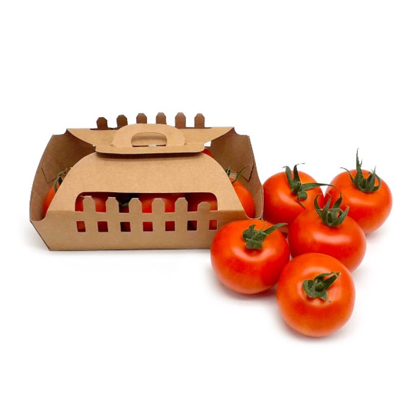 Tomate rojo redondo Ecológico Orgánico Biosabor huerta Almería