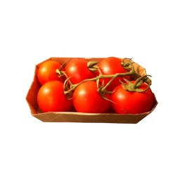 Tomate rojo en rama Ecológico Orgánico Biosabor huerta Almería