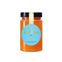 Miel Artesana Espliego SIERRA FILABRES Almería bronquios y úlceras