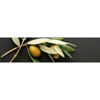 Aceite - Condimentos