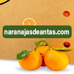 NARANJAS DE ANTAS